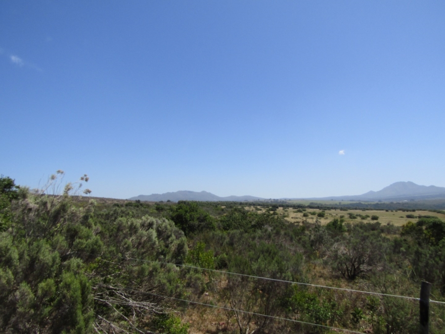 0 Bedroom Property for Sale in Humansdorp Rural Eastern Cape